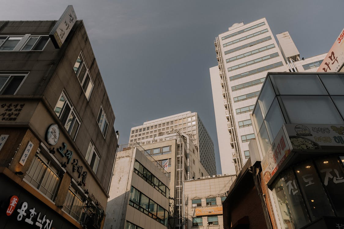 股指期货交易策略与操作技巧：趋势跟随、对冲、套利及风控要点