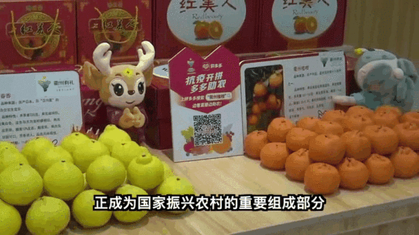 拼多多历史最低价怎么计算_拼多多助力乡村振兴_拼多多农产品原产地直发