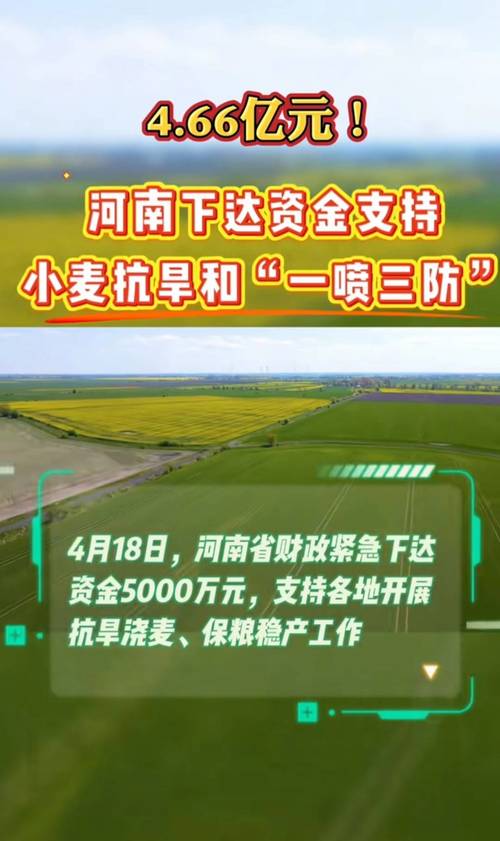 3月1日开封市地调队调查：农业生产整体平稳向好