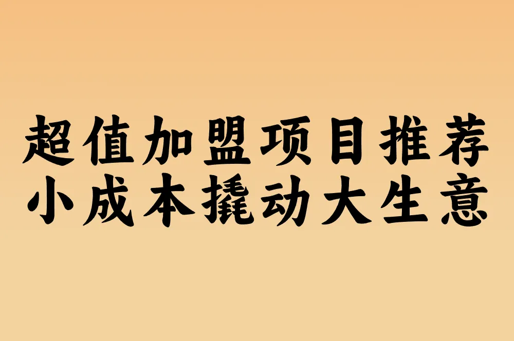 超值加盟项目推荐 小成本撬动大生意