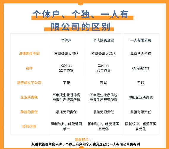 一人公司、个人独资企业、个体工商户税务差异解析:财税视角下的风险与成本对比