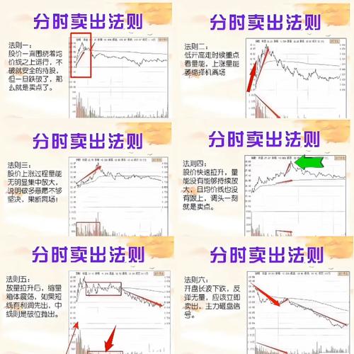 扎实学习股市基础知识，把握股票特点与交易规则是关键