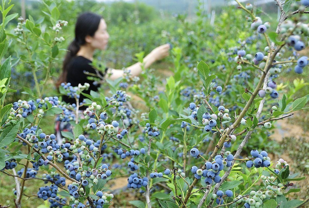 乡镇小生意_镇上做生意赚钱_集镇上适合做什么小生意