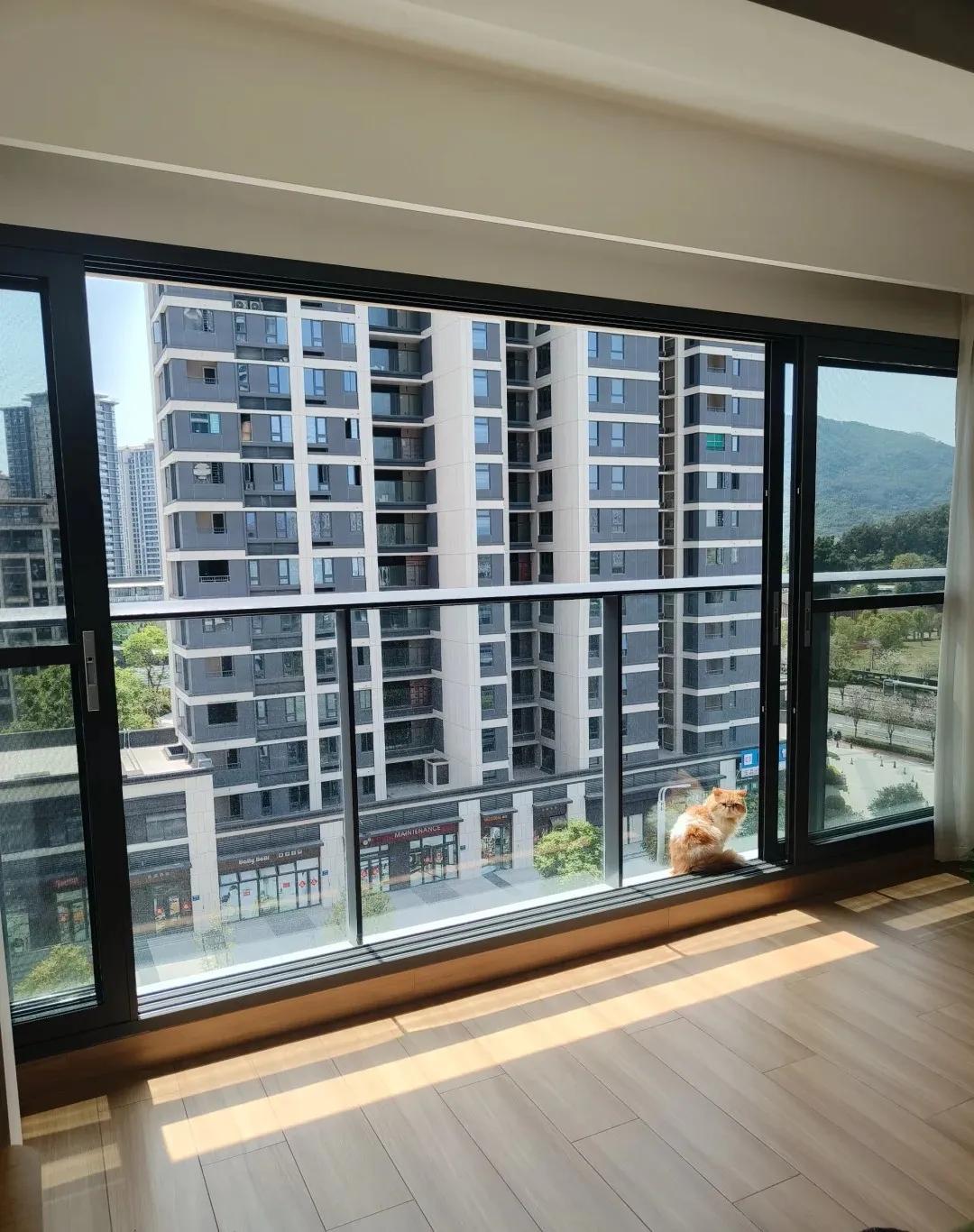 银行联动门价格_超大阳台封起来_超大玻璃落地窗缺点