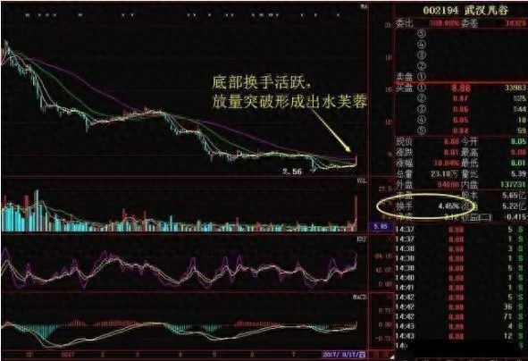 股价最大化是目标还是陷阱?看懂换手率和主力动向才能赚到钱