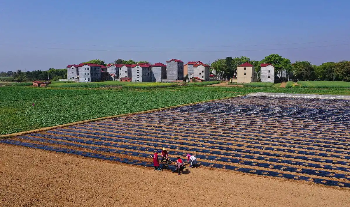 农村小投资创业好项目大全_农村创业项目_农村电商市场前景