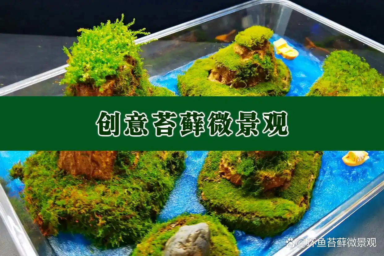 零成本创业_靠谱赚钱小生意_如今零元的赚钱好买卖