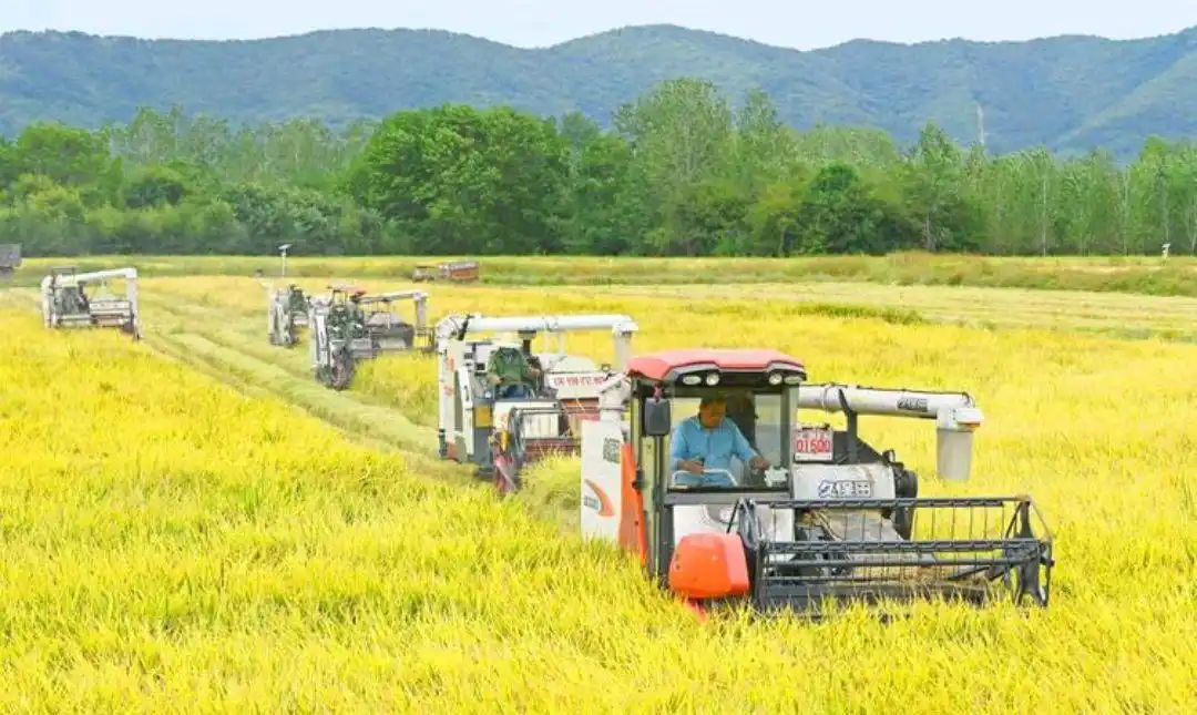 农村小投资创业好项目大全_农村红白喜事一条龙服务_农村劳务承包公司