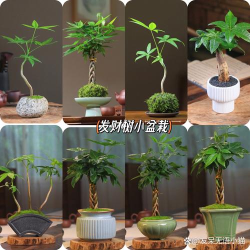 如今零元的赚钱好买卖_低成本创业项目_普通人小生意