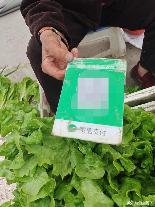 没有门店在微信上卖水果_手机支付_扫码支付