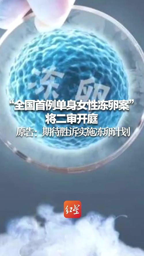 股票当天可以买入吗 政协委员为高龄未婚女性提供生育建议：条件允许可冷冻卵子、体外受精