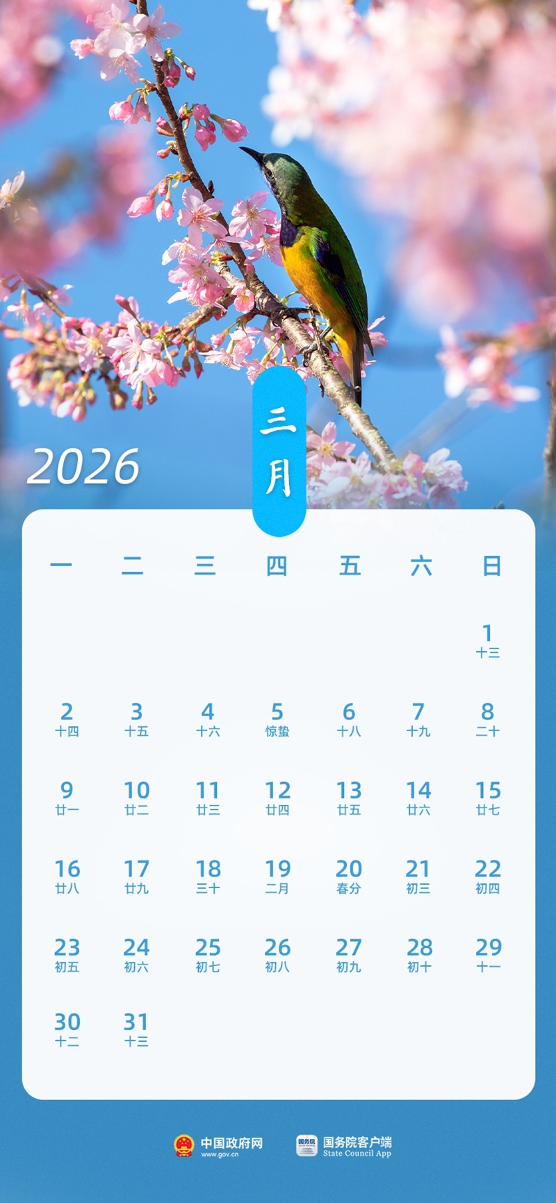 2026年放假安排_元旦春节调休日期_2026企业退休养老金调整最新消息