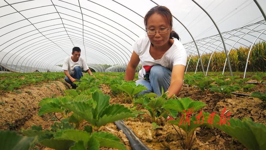 农村妇女想致富有什么好项目_农村妇女参与乡村振兴_巧妇贷金融支持妇女创业