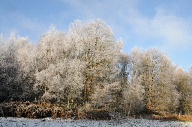 合同违约与侵权责任大不同，一文带你看清违约赔偿范围