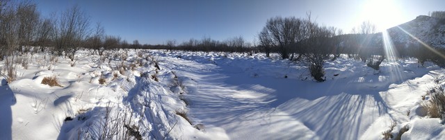 民法典预期利润_新合同法预期利润_合同法预期利益