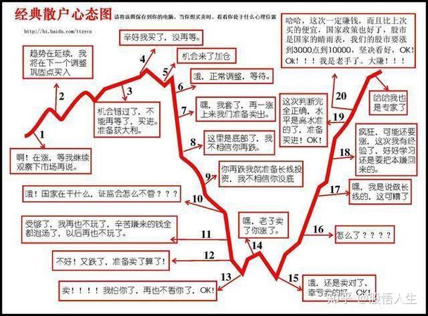 独立董事如何影响投资银行治理？散户必看的核心机制
