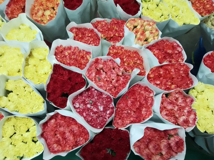 中国鲜切花市场规模及发展趋势_哪些鲜花网站销售量好_鲜花电商供应链及运输链分析