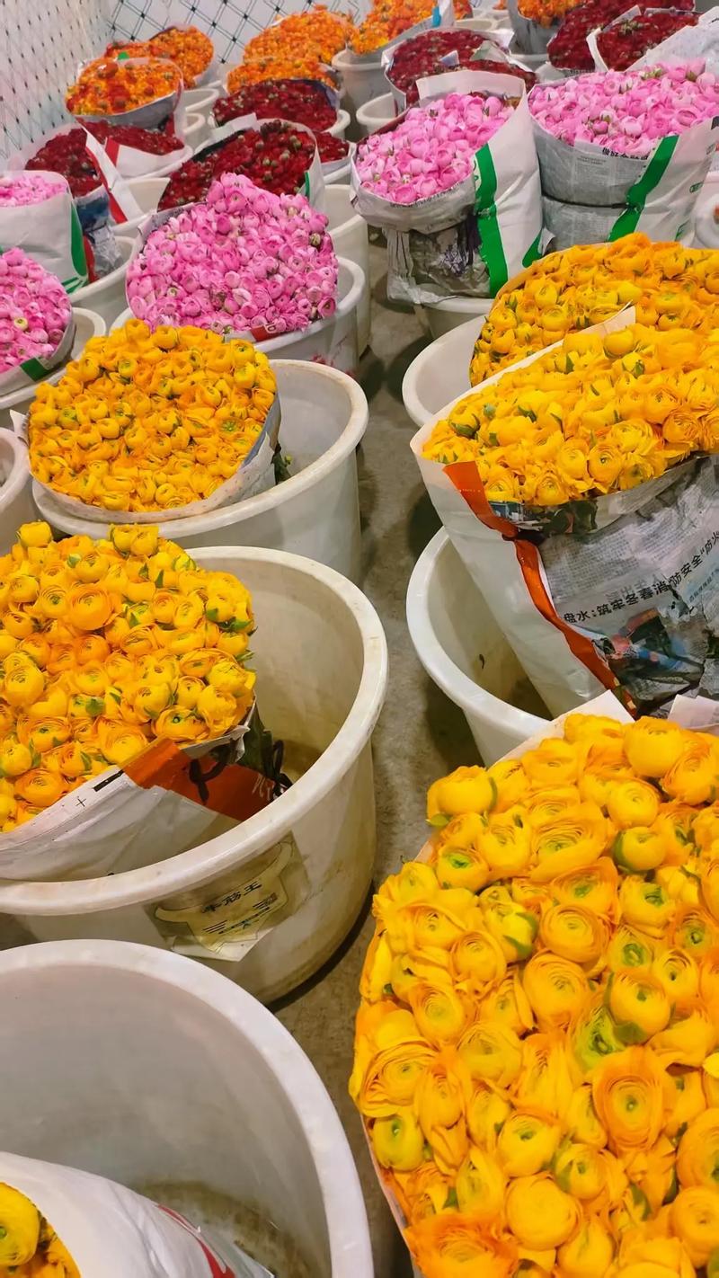 哪些鲜花网站销售量好_鲜切花市场升温_小众花材销量增长