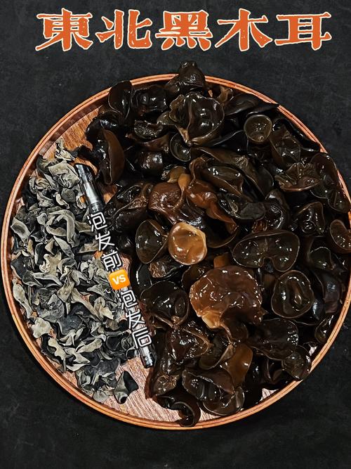 皱木耳特点与功效_黑木耳种类介绍_年黑木耳价格行情走势 黑木耳