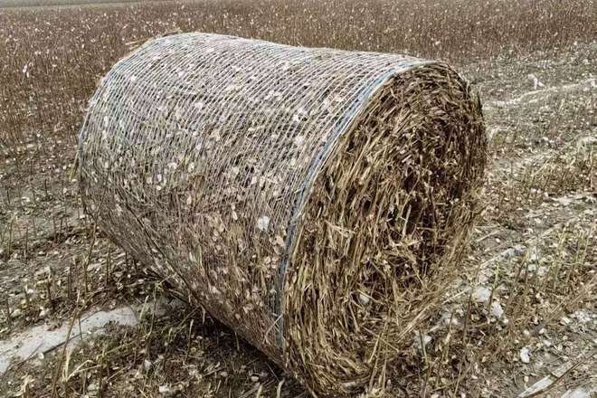 农村秸秆利用创业项目痛点解析,这些技术方案超厉害