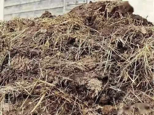 农村秸秆利用项目_蒸汽闪爆技术_农村有什么好的创业项目