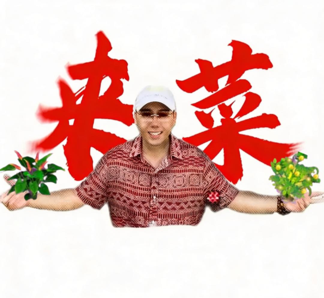 QQ经典农场 偷菜 网络现象_qq农场能赚人民币吗