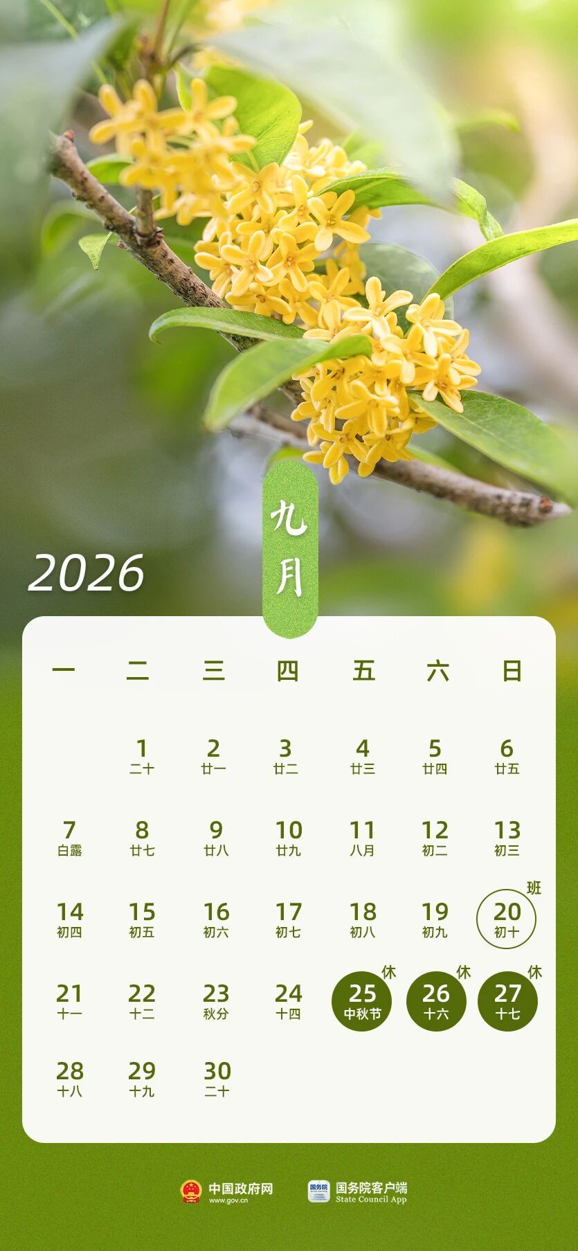 2026企业退休养老金调整最新消息_2026年节假日安排_2026年放假调休通知