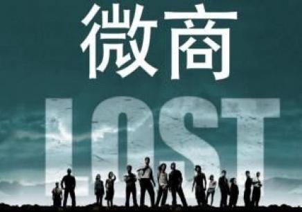 微信用户数据_年轻人微信好友数_微商赚钱好项目有什么